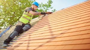 Best Rubber Roofing (EPDM, TPO)  in Orangeburg, SC