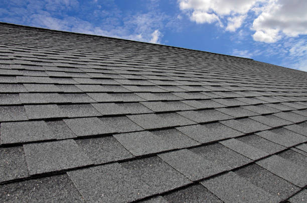 Best Sheet Metal Roofing  in Orangeburg, SC